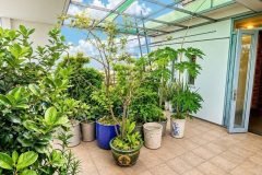 Bán nhà Biệt thự - mặt tiềm Hẻm 7m, Nguyễn Văn Khối ( Cây Trâm), 16x22m, 5