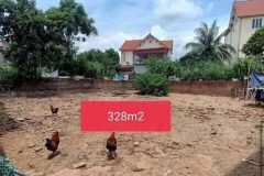 BÁN ĐẤT LỆ CHI – GIA LÂM, HÀ NỘI  MẶT TIỀN RỘNG HƠN 15M – Ô TÔ VÀO TẬN ĐẤT