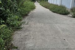 CHÍNH CHỦ BÁN GẤP ĐẤT THỔ CƯ BÌNH CHÁNH – 350M² – GIÁ 5,7 TỶ