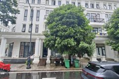 Bán nhà liền kề louis city tân mai 5 tầng ô chờ thang máy hoàng mai