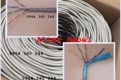 Cáp mạng UTP/FTP Cat5e Cat6 Altek Kabel