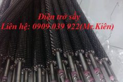 Điện trở cánh tản nhiệt cây 2 đầu