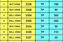 NHÓM TÍN HIỆU VIP HỖ TRỢ ĐẦU TƯ AN TOÀN