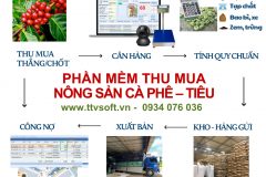 Quản lý thu mua, tính quy chuẩn hàng cà phê, tiêu kết nối cân điện tử