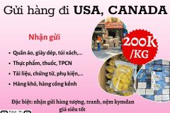 Gửi hàng đi USA, Canada - Tiến Việt Express