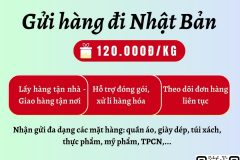 Gửi hàng đi Nhật Bản  - Tiến Việt Express