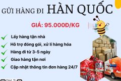 Gửi hàng đi Hàn Quốc - Tiến Việt Express