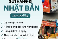 Gửi hàng đi Nhật Bản  - Tiến Việt Express