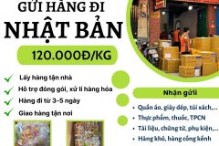 Gửi hàng đi Nhật Bản - Tiến Việt Express