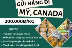Gửi hàng đi USA, CANADA - Tiến Việt Express