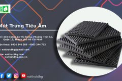 MÚT TRỨNG TIÊU ÂM – GIẢI PHÁP GIẢM ỒN HIỆU QUẢ, GIÁ TỐT TẠI NỘI THẤT DHG