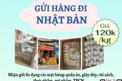 Gửi hàng đi Nhật Bản  - Tiến Việt Express
