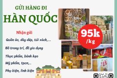 Gửi hàng đi Nhật Bản  - Tiến Việt Express