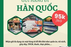 Gửi hàng đi Hàn Quốc - Tiến Việt Express
