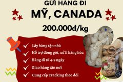 Gửi hàng đi USA, Canada - Tiến Việt Express