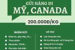 Gửi hàng đi USA, Canada - Tiến Việt Express
