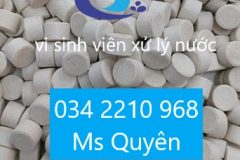 Men vi sinh viên 3g Biopro tablet nhập khẩu từ Mỹ