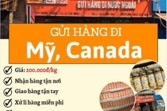 Gửi hàng đi USA, Canada - Tiến Việt Express