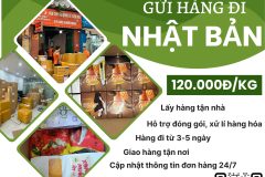 Gửi hàng đi Nhật Bản  - Tiến Việt Express