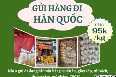 Gửi hàng đi Hàn Quốc - Tiến Việt Express