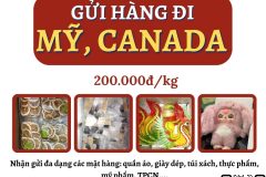 Gửi hàng đi USA, Canada - Tiến Việt Express