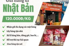 Gửi hàng đi Nhật Bản  - Tiến Việt Express