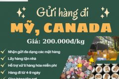 Gửi hàng đi USA, Canada - Emery Express