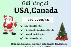 Gửi hàng đi USA, Canada - Emery Express