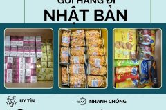 Gửi hàng đi Nhật Bản  - Tiến Việt Express