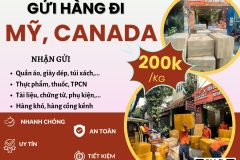 Gửi hàng đi USA, Canada - Tiến Việt Express