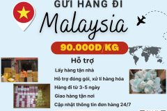 Gửi hàng đi Malaysia - Tiến Việt Express