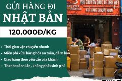 Gửi hàng đi Nhật Bản  - Tiến Việt Express