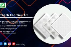 Thạch Cao Tiêu Âm - Nội Thất DHG