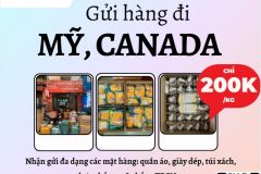 Gửi hàng đi USA, Canada - Tiến Việt Express