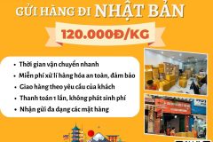 Gửi hàng đi Nhật Bản  - Tiến Việt Express