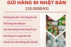 Gửi hàng đi Nhật Bản  - Tiến Việt Express