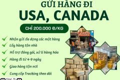 Gửi hàng đi USA, Canada - Tiến Việt Express