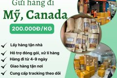 Gửi hàng đi USA, Canada - Tiến Việt Express