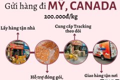 Gửi hàng đi USA, Canada - Tiến Việt Express