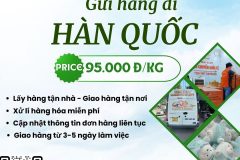 Gửi hàng đi Hàn Quốc - Tiến Việt Express