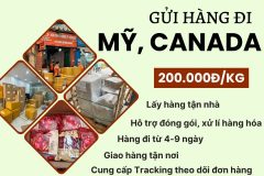 Gửi hàng đi USA, Canada - Tiến Việt Express