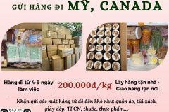 Gửi hàng đi USA, Canada - Emery Express