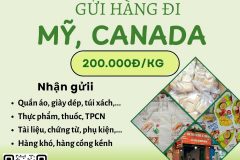Gửi hàng đi USA, Canada - Tiến Việt Express