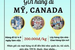 Gửi hàng đi USA, Canada - Tiến Việt Express