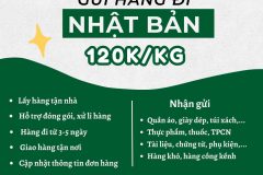 Gửi hàng đi Nhật Bản  - Tiến Việt Express
