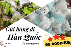 Gửi hàng đi Hàn Quốc - Tiến Việt Express