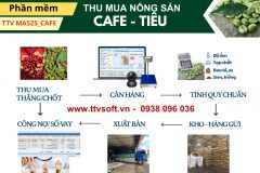 Phần mềm thu mua cà phê - tiêu
