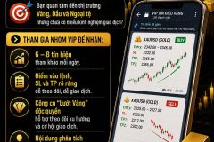 THAM GIA NHÓM VIP TÍN HIỆU THỊ TRƯỜNG