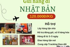 Gửi hàng đi Nhật Bản  - Tiến Việt Express