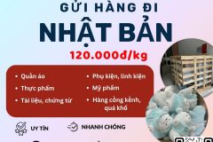 Gửi hàng đi Nhật Bản  - Tiến Việt Express